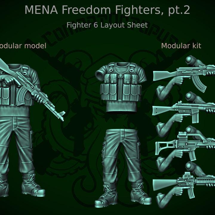 Combat Octopus - MENA Freedom Fighters pt2 November 2025