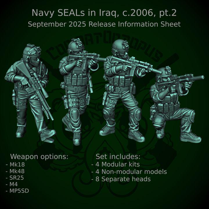 Combat Octopus - Navy Seals in Iraq C.2006 pt2 September 2025